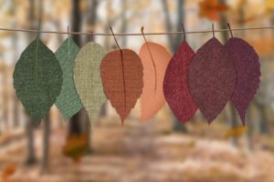 Colorful fall leaves hanging on a string. Fall scene in the background.